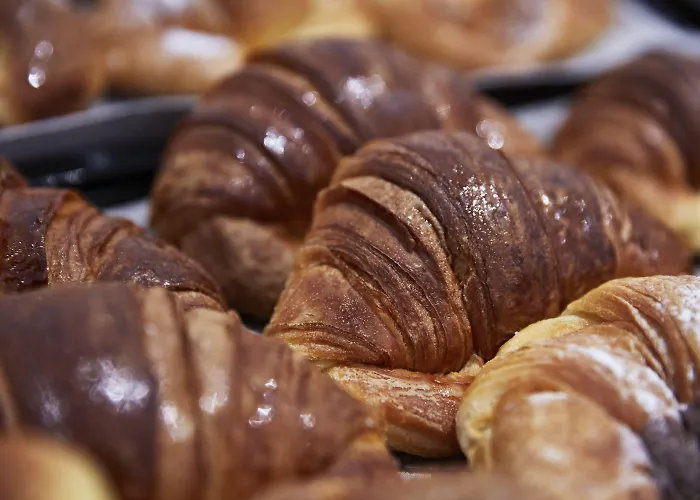 科德酒店 4* 罗马